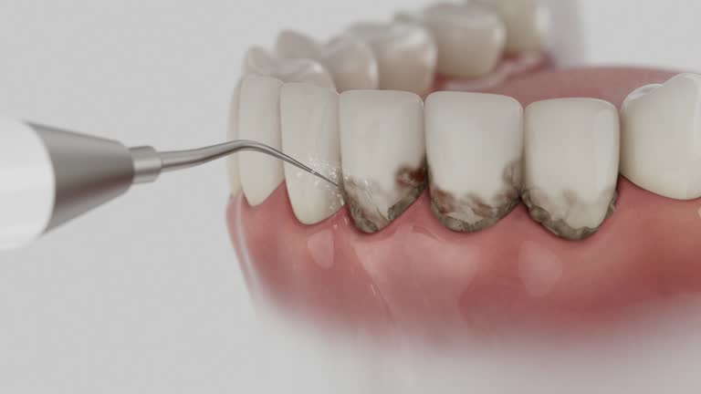 Reliable Dental contractor in Brown County County, OH by Dentist Open Now